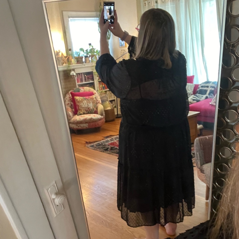 Anthropologie 24W black sheer button down dress - Picture 3 of 7